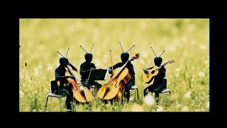The Insect Orchestra V3