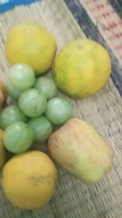 🤤🤤🤤