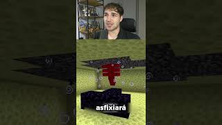ESTAS HACIENDO MAL ESTO EN MINECRAFT...