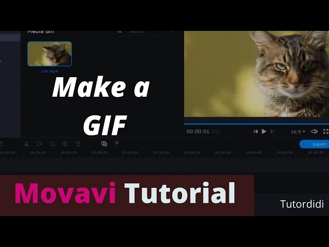 Como converter vídeo em GIF [10 Melhores maneiras] – Movavi