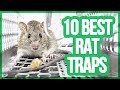 Top 10 best mouse trap  rat trap