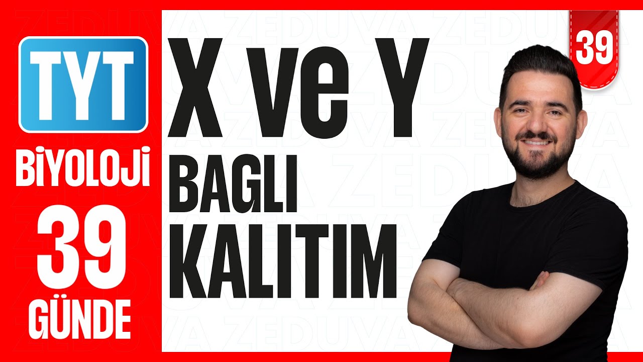 Soy Ağaçları Soru Çözümü | 39 GÜNDE AYRINTILI TYT BİYOLOJİ KAMPI 2026-2027 | 39