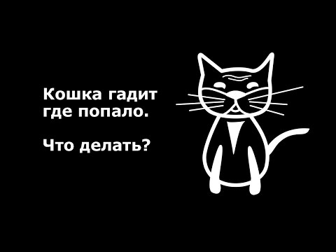 Как отучить кошку гадить где попало.