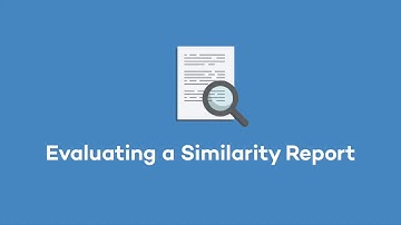 Evaluating a Turnitin Similarity Report in Canvas