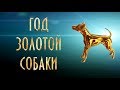 ВОСТОЧНЫЙ ГОРОСКОП В ГОД ЗОЛОТОЙ СОБАКИ