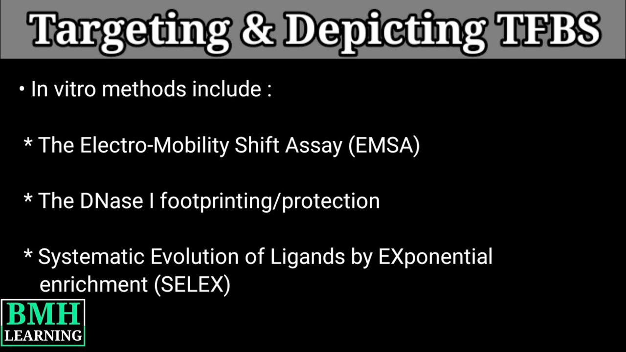 Depicting Transcription Factor Binding Sites | Locating Transcription Factor Binding Sites |