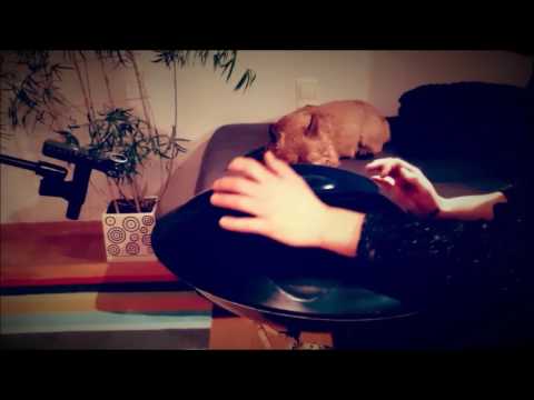 ZIVA HANDPAN AnnaZiska Scale
