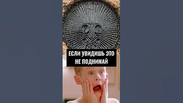 ЕСЛИ ТЫ УВИДИШЬ ЭТО НА ЗЕМЛЕ, НЕ ПОДНИМАЙ!! #shorts