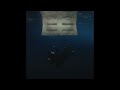 Billie Eilish WILDFLOWER 1 HOUR Billie Eilish WILDFLOWER 1 HOUR