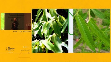 [SQL Unplugged 2013] SQL PASS Korea / 씨퀄로 정원혁 대표