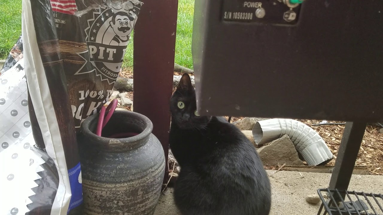 Caught Me!! Drinking From the Gutter Again..