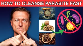 Parasite Cleanse For Humans With Dr Berg Recommendation  Wormwood Black Walnut Clove For Cleansing