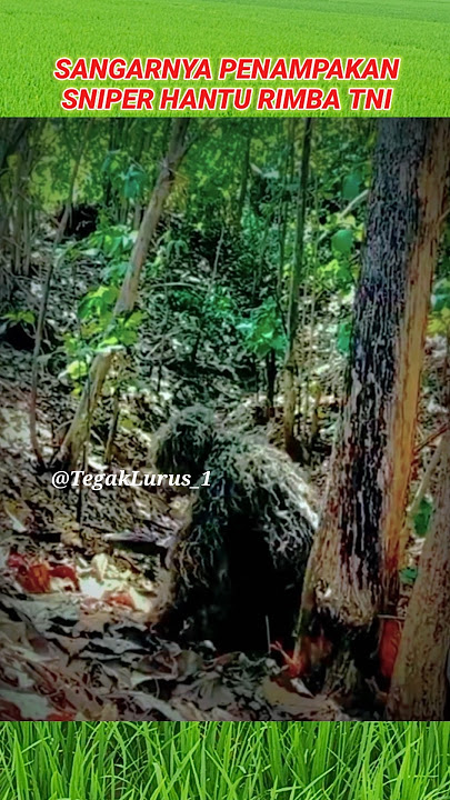Sniper Hantu Rimba Paling Ditakuti Musuh#tni #sniper #komando #kopassus #army #shorts