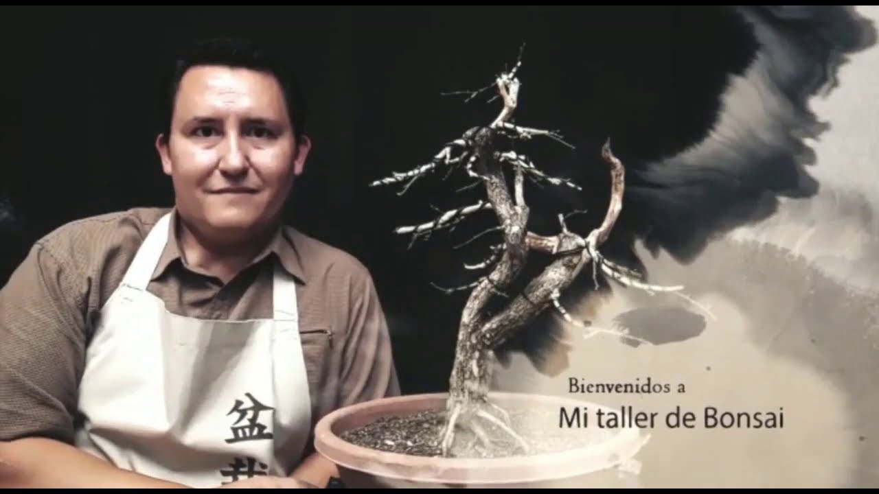 Cómo ACTIVAR  un injerto