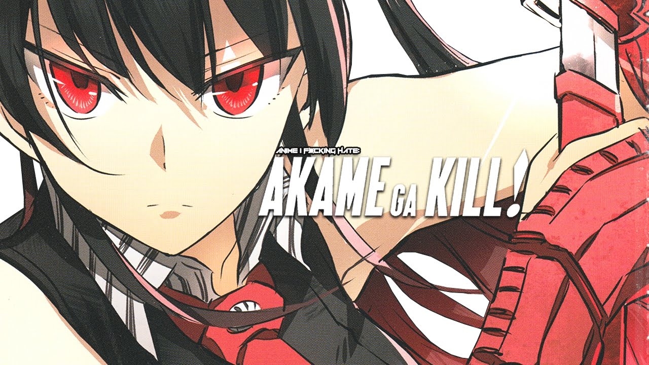 Anime Like Akame ga Kill!