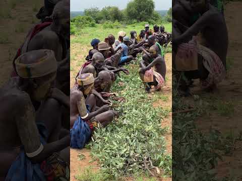 The Council Of The Elders Of The Karo Tribe KaroTribe OmoValley BodyPainting EthiopianCulture