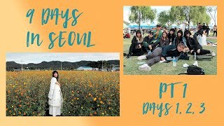 🇰🇷 9 Days in Seoul: NRB, The CRY Ground, Yangju Nari National Park