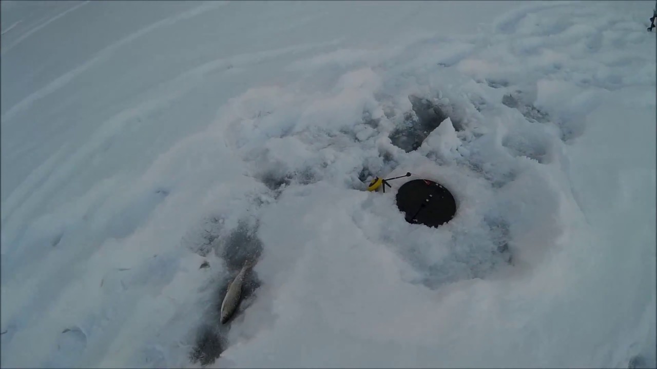 рыбалка на хариуса в Горном Алтае