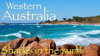 Australia - exploring the West Coast from Perth to Denmark