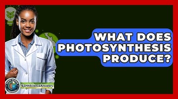 What Does Photosynthesis Produce? - Earth Science Answers