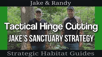 Hinge Cutting Trees:  Designing a Tactical Sanctuary for Deer Habitat