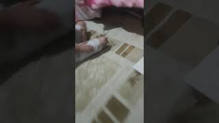 2 Saattir Kedi Arıyorum