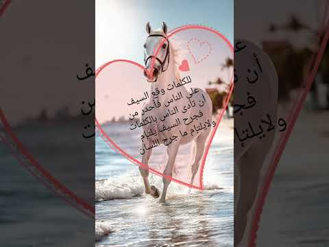 حكمة من دهب حكمة اليوم اكسبلور اقنباسات لايك اشتراك فكرتين حكم تيك توك اشتراك