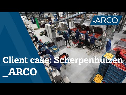 Case: Vegetable Processing Automation at Scherpenhuizen - Agri & Food Machines - ARCO Solutions