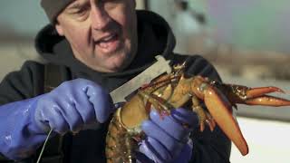 Sourcing Our Catch
