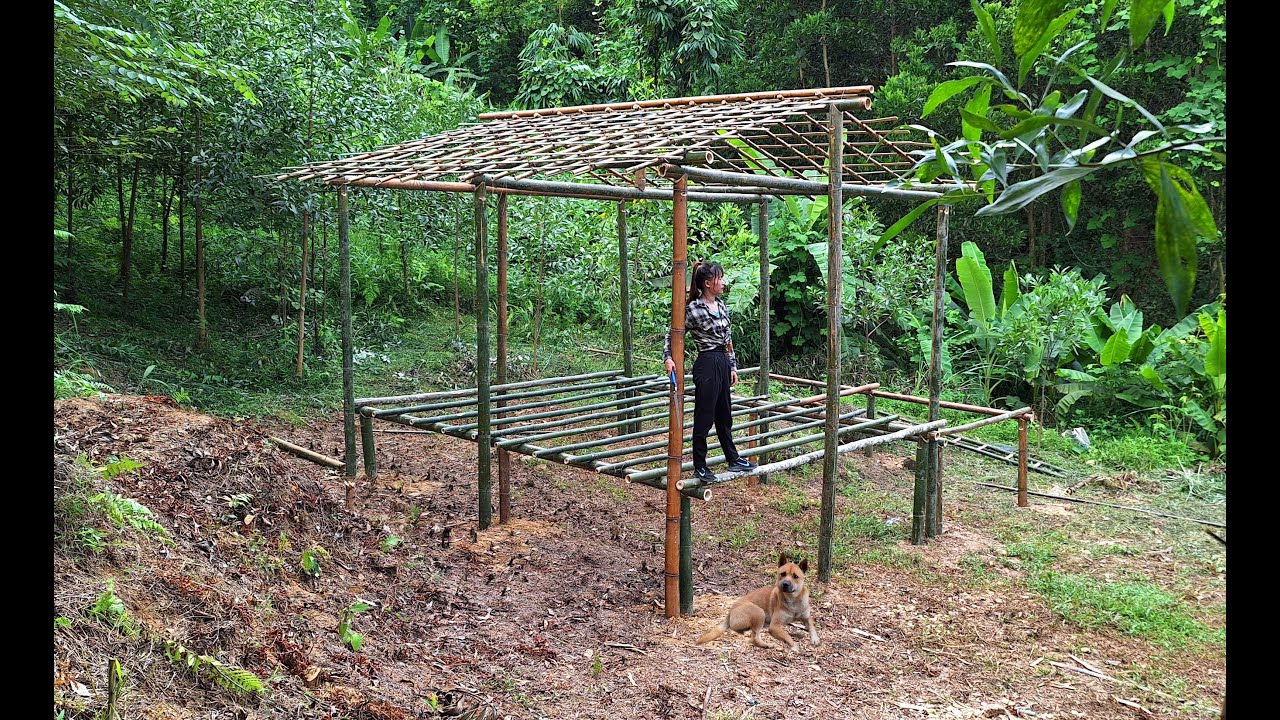 Living off the grid in the forest: building a bamboo house and a farm ...