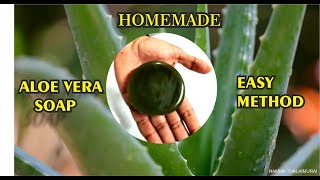 Homemade Aloe vera soap