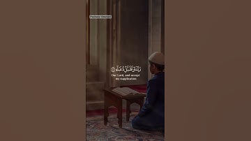 تلاوة هادئة رائعة سعد الغامدي #quran #قرآن #راحة_نفسية #ماهر_المعيقلي #سعود_الشريم #الغامدي #اكسبلور