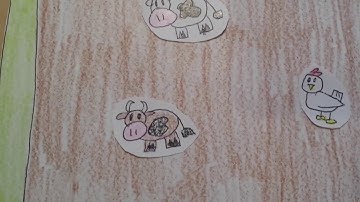 The Logician -  Animal Care Paper Prototype