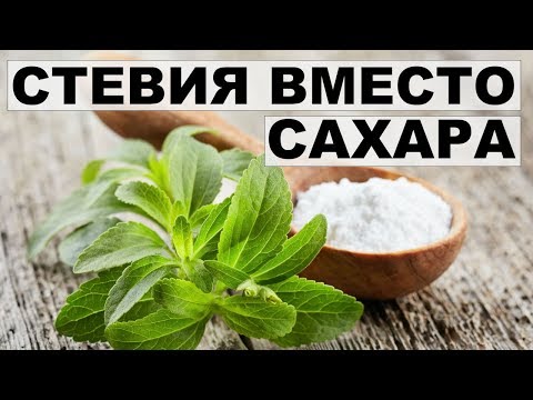 Бейне: Стевия, агастаха (мексикалық жалбыз), ақжелкен, насыбайгүл, пияз