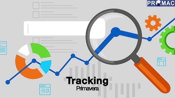 How to Track project progress in PRIMAVERA P6?
