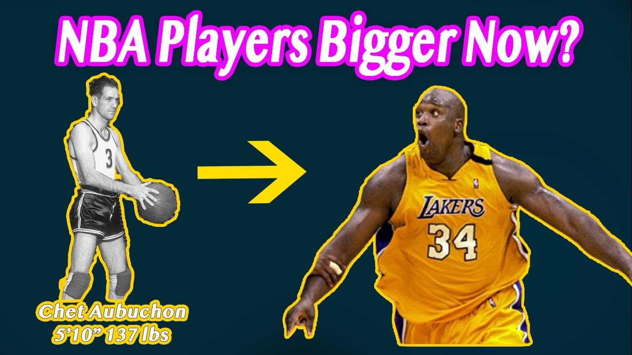 Wie Groß Ist Der Kleinste Nba Spieler Biggest and Smallest NBA players every season 1947 - 2022! Are