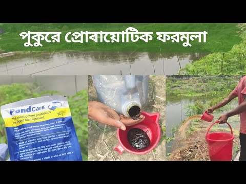 ভিডিও: কেন এক্সট্রাক্টর ফ্যান ব্যবহার করবেন?