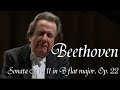 Beethoven - Sonata No. 11 (Rudolf Buchbinder)