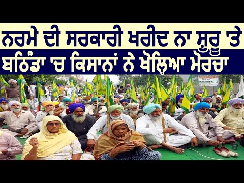 Bathinda में कपास की सरकारी खरीद न शुरू किए जाने पर Farmers ने खोला मोर्चा