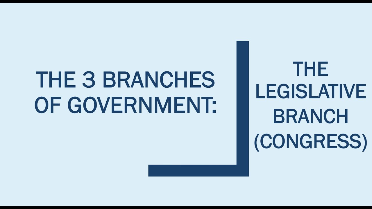 Week 9 The Legislative Branch (Congress) Spanish/English YouTube