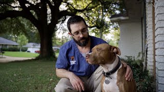 Exocrine Pancreatic Insufficiency And Beware Of Pit Bulls