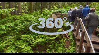 Ga mee op een FOX single groepsreis in 360 graden!