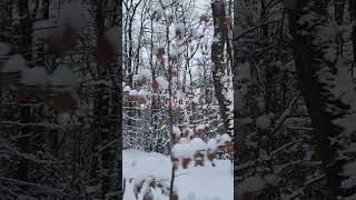 Instrumental hip hop music in snowscape. #instrumentalhiphop #music #snowscape