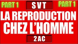 la reproduction chez lhomme svt 2 ac partie 1