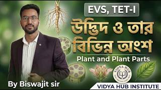 উদ্ভিদ ও তার বিভিন্ন অংশ( Plants &amp; Its Parts ) || EVS TET-1 || By Biswajit Sir