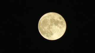 【LIVE】六本木ヒルズ展望台から「中秋の名月」を配信