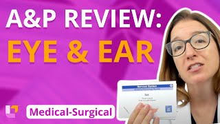 A&P Review: Eye and Ear  MedicalSurgical  Nervous System | @LevelUpRN