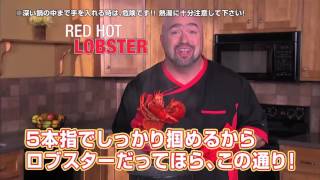 ホットハンズ　Hot Hands　耐熱シリコンキッチングローブ