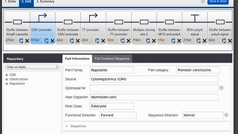 GeneArt Elements: Vector Construction