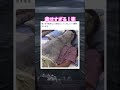 幸せ確定演出! #shorts#tiktok#Twitter#おもしろ#お笑い#おすすめ#猫#かわいい 面白い#おもしろ動画#爆笑#バズれ